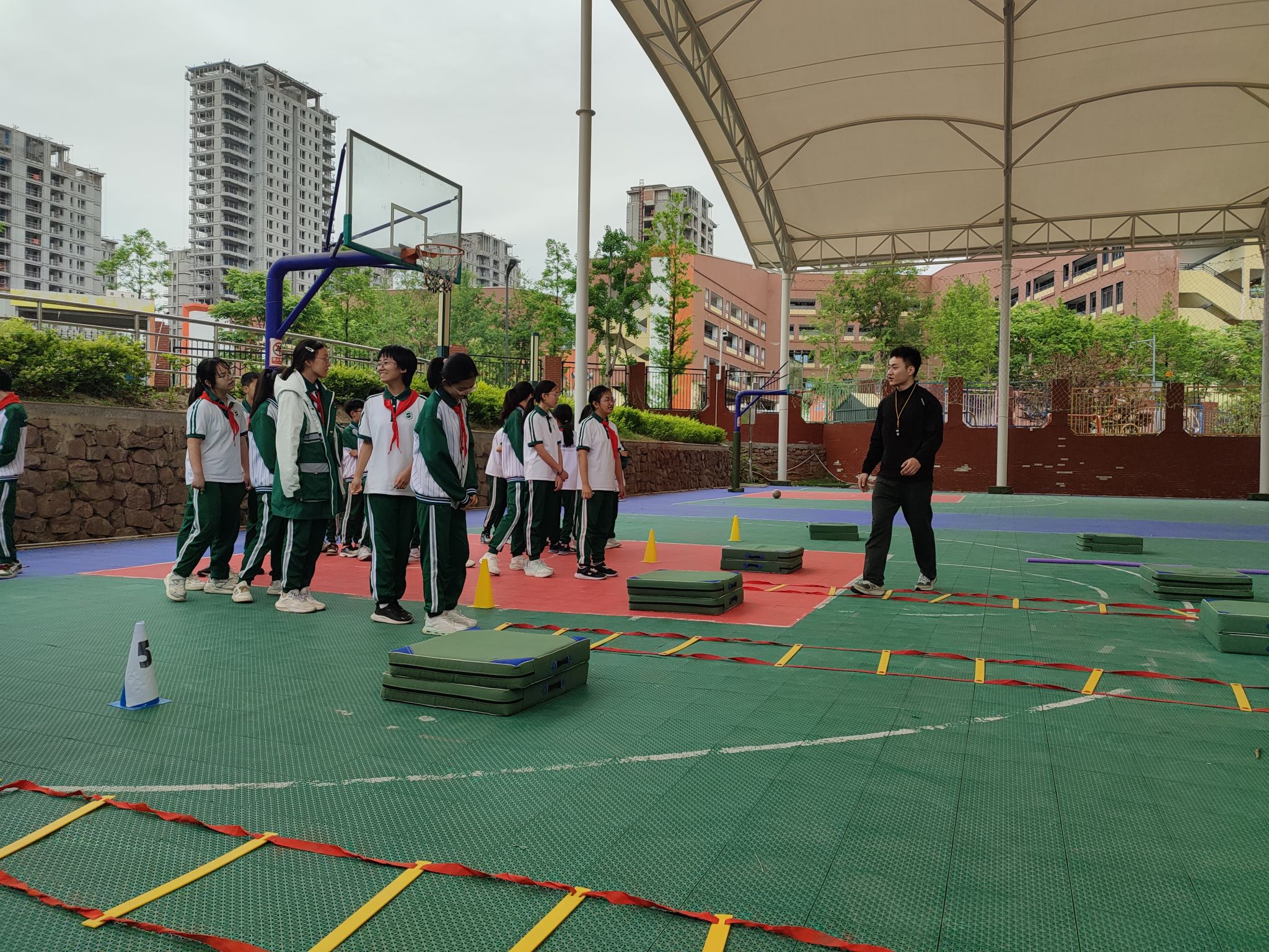 6a95d6.jpg